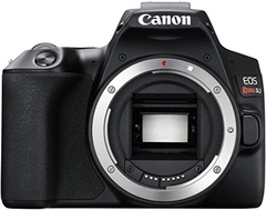Câmera DSLR Canon EOS Rebel SL3, 24,1mp, 4K, Wi-Fi + Lente Ef-s 18-55mm IS STM - comprar online