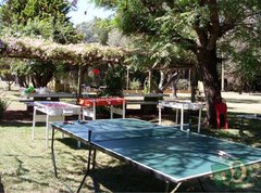 MESA DE PING PONG - d3entretenimientos