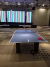 MESA DE PING PONG