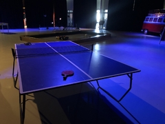 MESA DE PING PONG en internet