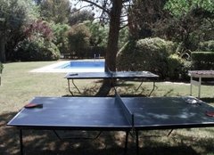 MESA DE PING PONG - comprar online