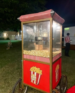POCHOCLERA Y COPOS DE AZUCAR