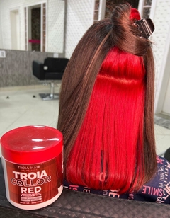 3 Troia Colors Máscara Rojo - Activadores de tono - Troia Hair en internet