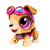 173496 - FIGURA 17CM SKYE CONSTRUYE TU FIGURA ROBOTICA PAW PATROL - comprar online