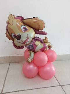 Bouquet Paw Patrol en internet