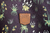 Bermuk - LEAVES - comprar online