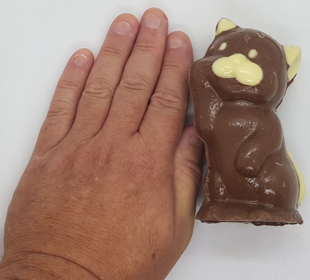 Gatito de chocolate 80 grs Chocolates La France