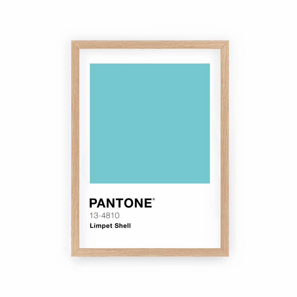 Limpet Color Cuadro Pantone Limpet Shell - Comprar en Puerta de Goya