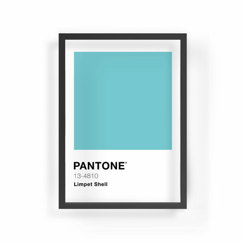 Limpet Color Cuadro Pantone Limpet Shell - Comprar en Puerta de Goya