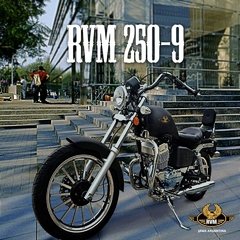 RVM 250-9 en internet