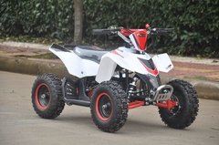 MINIMAX 50CC - RUTA 3 MOTOS