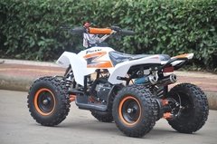 MINIMAX 50CC - tienda online
