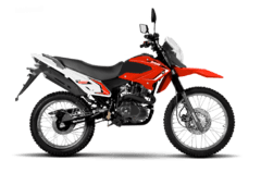 MOTOMEL SKUA 250 - comprar online