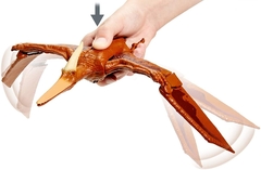 Pteranodon Jurassic World Camp Cretaceous Ruge y Ataca Sonido