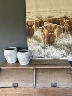 Mural Highland - Zeta Concept Store