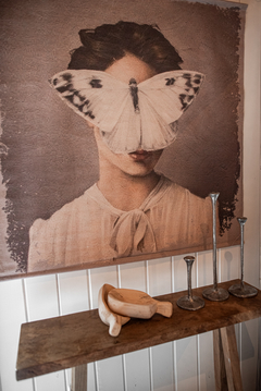 Sueño de mariposa en internet