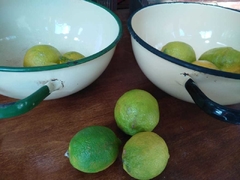 Imagen de Bowl fuente olla de chapa enlozada
