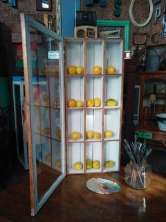 Vitrina de Mostrador o para Colgar con Divisiones Interiores - tienda online