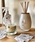 Box - BAIES - comprar online
