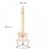 Columna vertebral con pelvis tamaño real