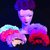 Pack Vinchas de Flores +6 en internet