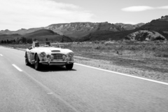 Cuadro Austin-Healey - comprar online