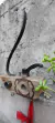 Velerardi porta llave - comprar online