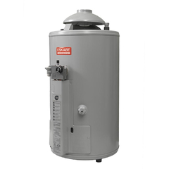 Termotanque Multigas 40 Litros Alta Recuperación 700 Litros/Hora Acquapiú A4 Eskabe - comprar online
