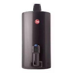 Termotanque Gas Natural 80 litros para Colgar AEE Rheem
