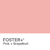 Foster TONE " Frutal Blends" - tienda online