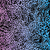 SP0468