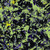 SP0512