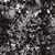 SP0719