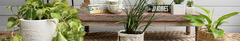 Banner for category Planters and Baskets