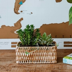 Handwoven Wicker Baskets (Set of 2)
