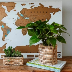 Handwoven Wicker Baskets (Set of 2)