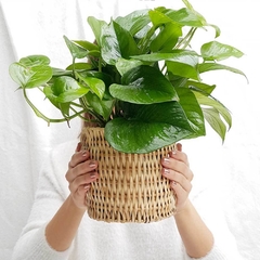 Image of Handwoven Wicker Baskets (Set of 2)