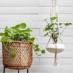 Carmen Set of Planters on internet