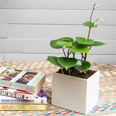 Carmen Set of Planters - Habibi | Handmade Planters and Home Decor Delivered to Your Door