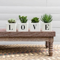 LOVE Ceramic Planters (Plants Included) Set of 4 on internet