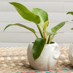 Wisdom Owl Ceramic Planters (Set of 2) on internet