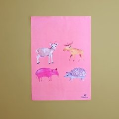 Poster animais [novo]