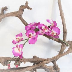Haste de Orquídea Permanente - Fúcsia