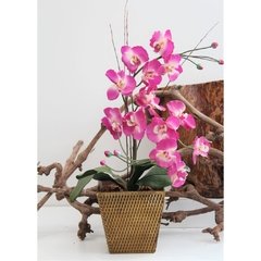 Haste de Orquídea Permanente - Fúcsia na internet