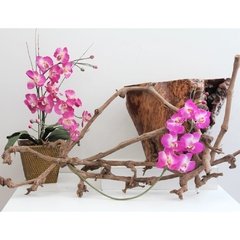 Haste de Orquídea Permanente - Fúcsia - comprar online