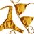 Biquini Asa Delta Corrininha - Empina bumbum - IZAFIRE BEACHWEAR