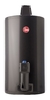 Termotanque Rheem 80lts "AEE" Gas - orbe climatización