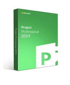 Microsoft Project 2019 Professional