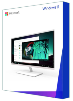 Microsoft Windows 11 Pro