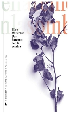 que haremos con la sombra - wasserman - martin wasserman